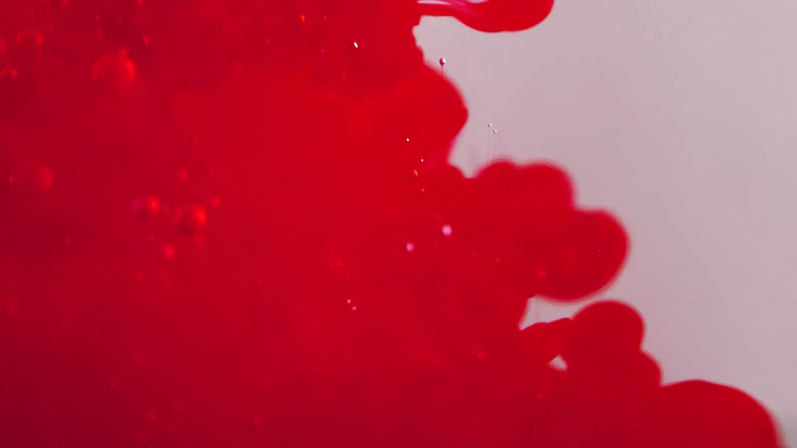 Carmine No.7