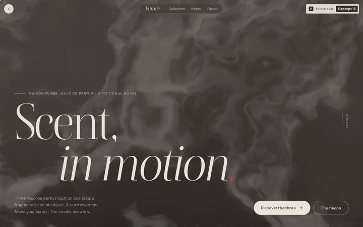 Fumée concept, first screen